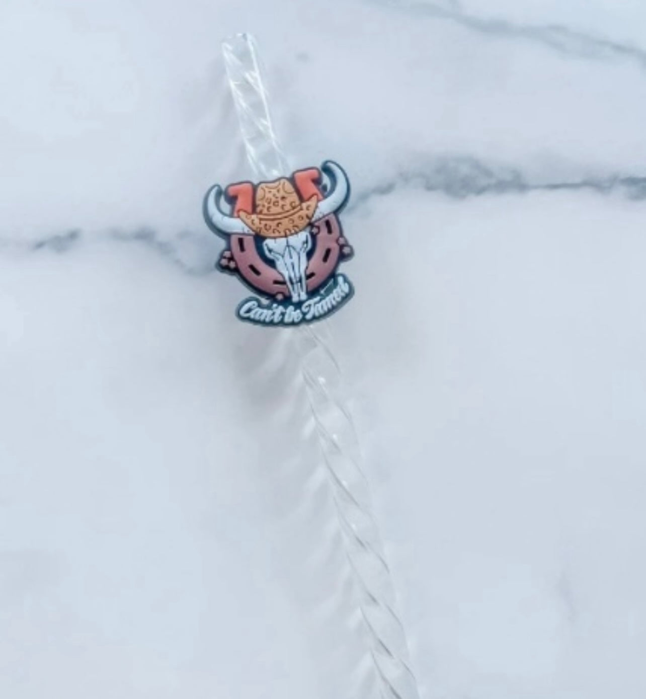 Can’t be tamed straw charm