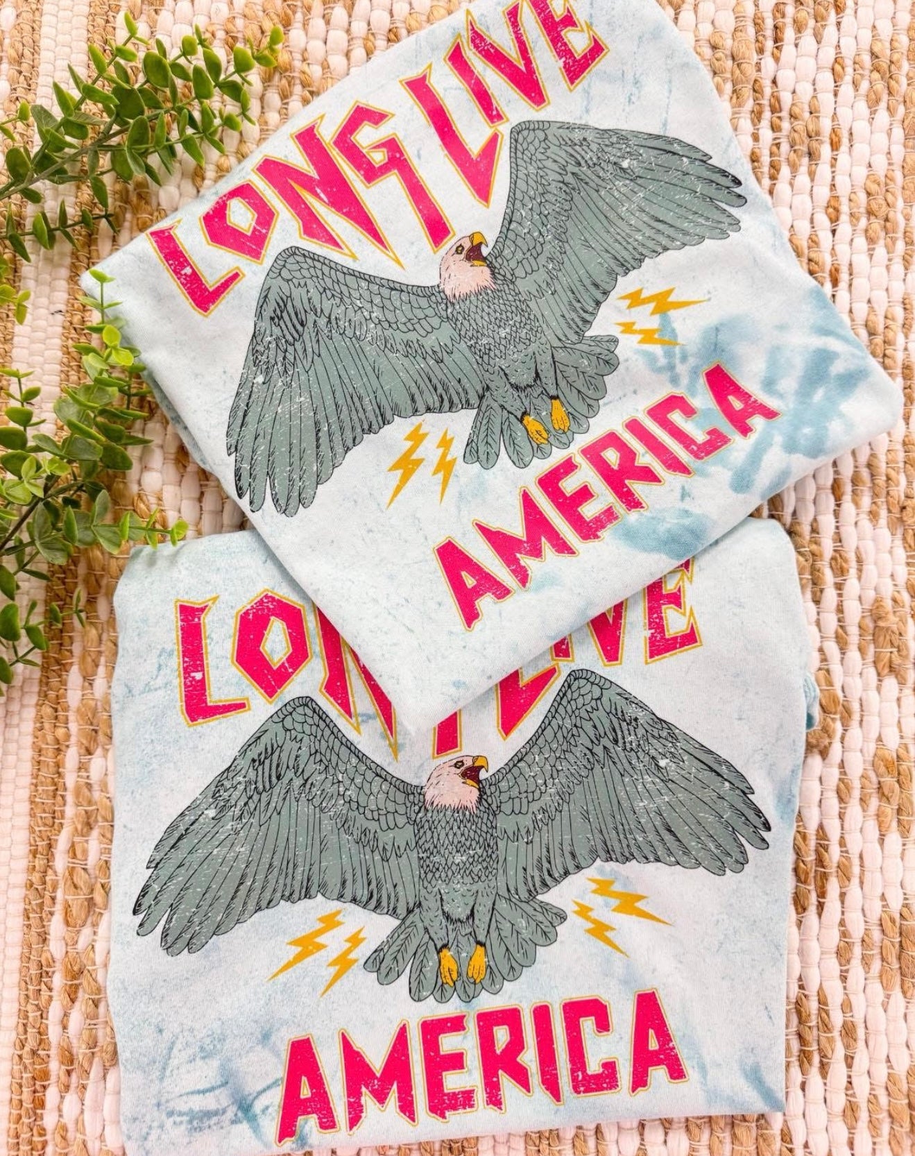 America 🦅